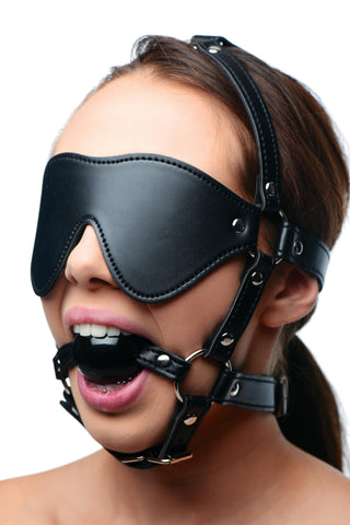 Blindfold Harness and Ball Gag