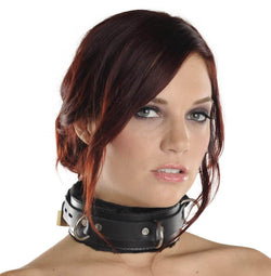 Strict Leather Premium Fur Lined Locking Collar- SM